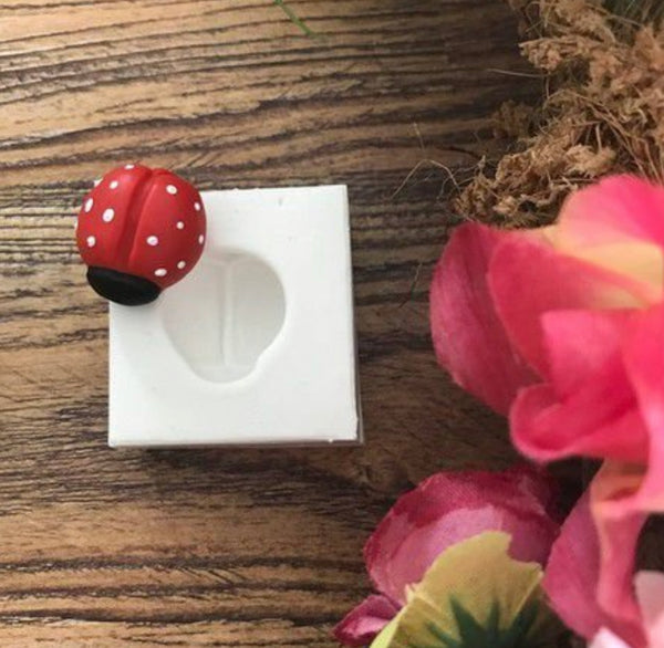 Little ladybug, Silicone Mold